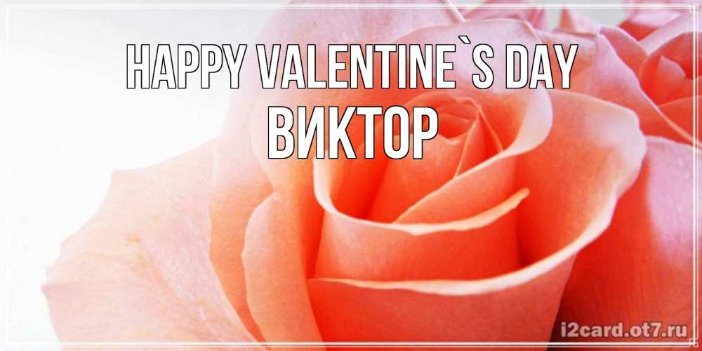 Greetings card с именем, Виктор Happy Valentine`s Day открытка на день Святого Валентина с розовой розой Greetings with text for free download 